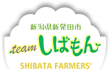 しばもん 新潟県新発田市 teamしばもん