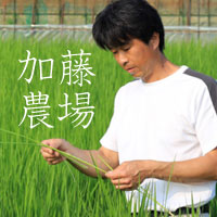 加藤農場